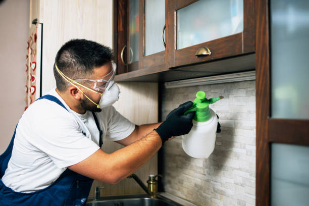 Best Pest Control Treatment  in Quakertown, PA