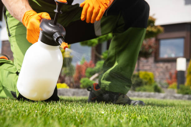 Best Flea Control Services  in Quakertown, PA