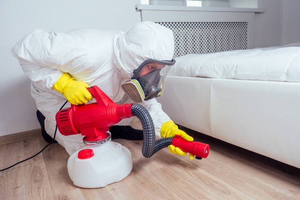 Best Local Pest Control Services  in Quakertown, PA