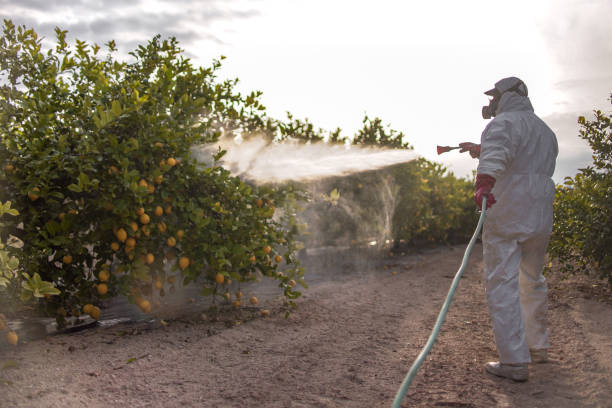 Best Pest Control for Homes  in Quakertown, PA