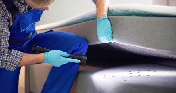  Quakertown, PA Pest Control Pros