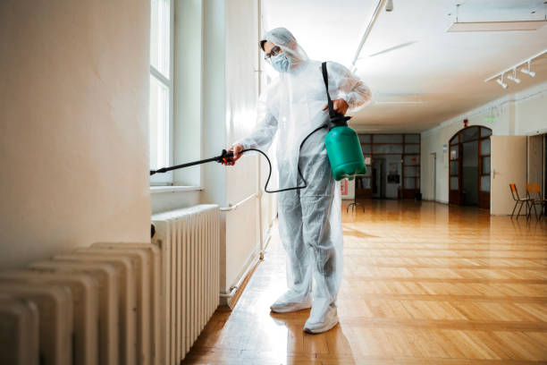 Professional Pest Control in Quakertown, PA