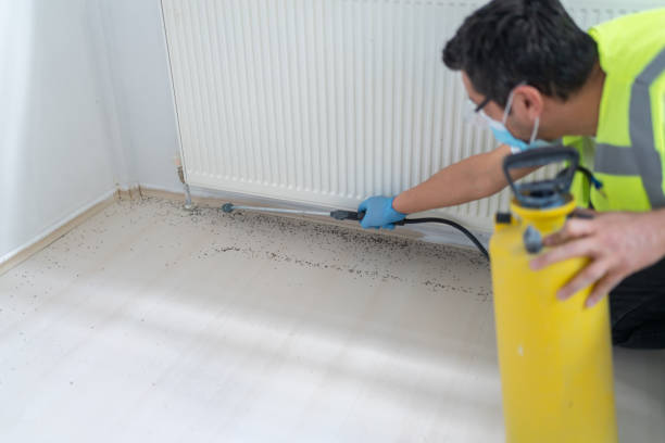 Best Wasp Removal Services  in Quakertown, PA