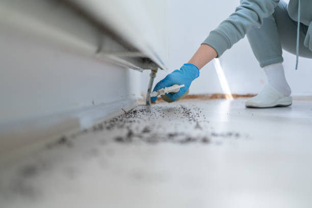 Best Wildlife Control Services  in Quakertown, PA