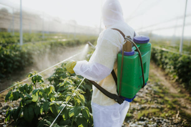 Best Best Pest Control Near Me  in Quakertown, PA